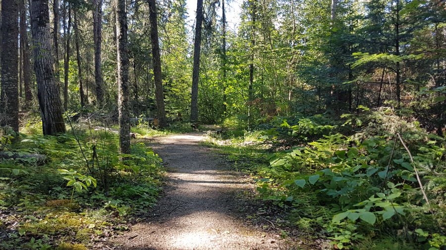 Wekusko Falls Provincial Park - Campground