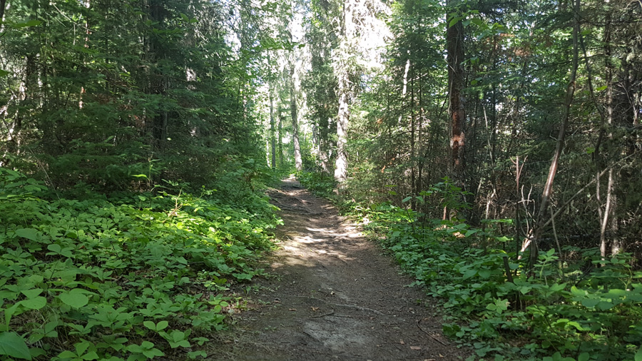 Wekusko Falls Provincial Park - Campground