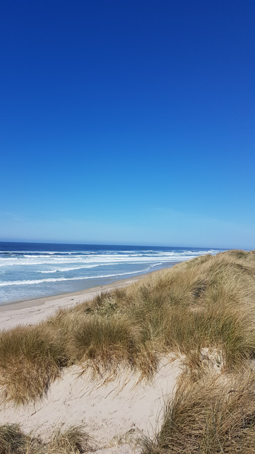 Florence, OR - Beach near South Jetty Campground