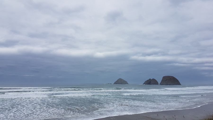 Beach in Netarts, OR