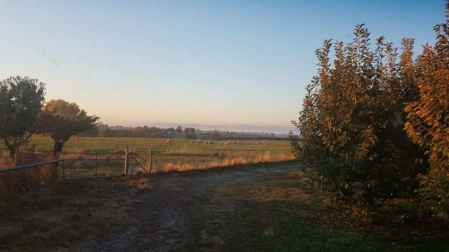 View out of Explorker2