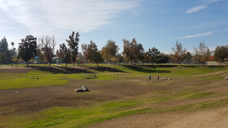 Dog park in Bakersfield