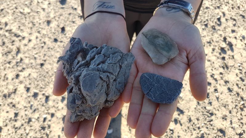 Interesting rocks found by the Silurian Hills, near Baker, CA