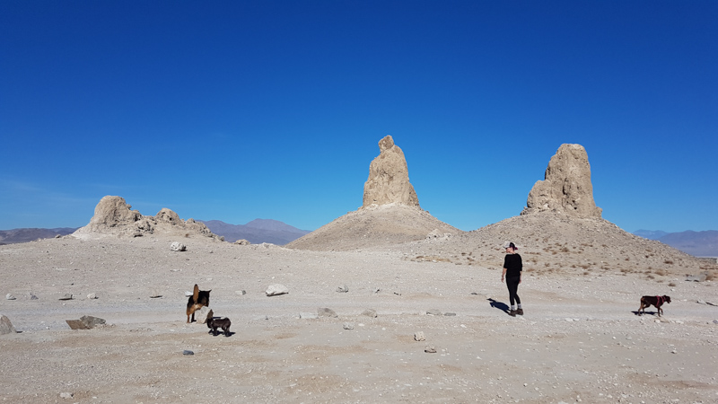 Leanne, Lexy, Pebbles, and Coconut at the Trona Pinnacles