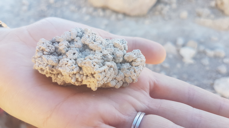 Leanne holding a rock