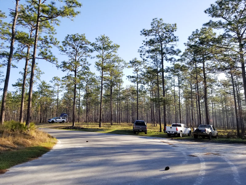 Blackwater River Primitive Recreation Site, Holt FL