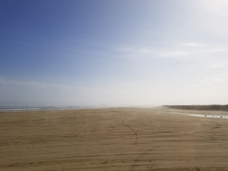 Bolivar Flats Free Beach near Galveston, Texas