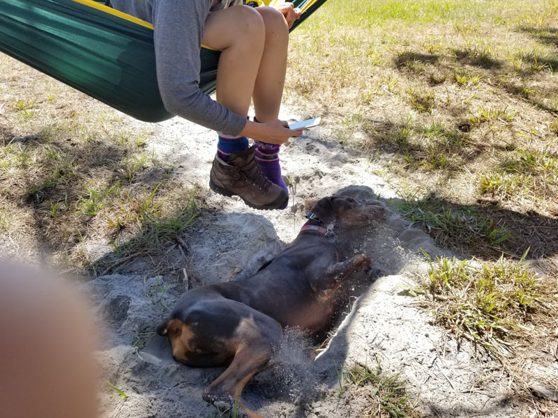 Istokpoga Canal Boat Ramp Area, Lorida FL