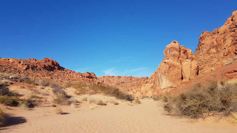 Valley of Fire State Park River Bed