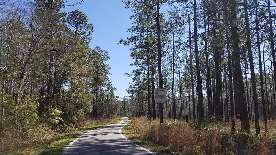 Blackwater River Primitive Recreation Site, Holt FL