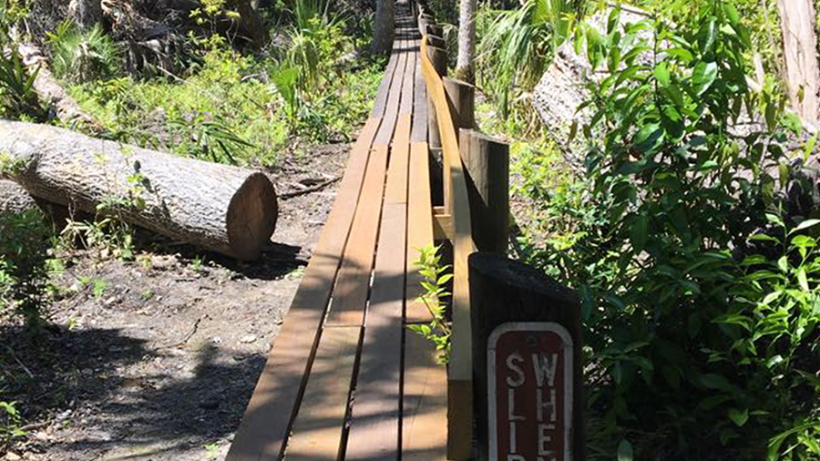 Highlands Hammock State Park, Sebring FL