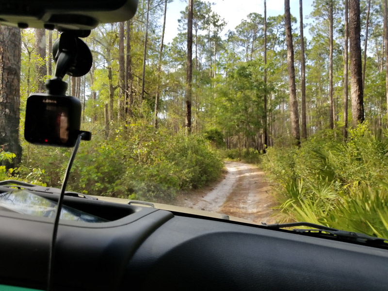 Free Camping in Lake City Florida at Cobb Hunt Camp