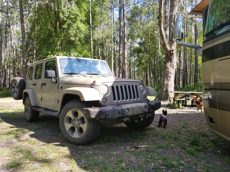 Free Camping in Lake City Florida at Cobb Hunt Camp