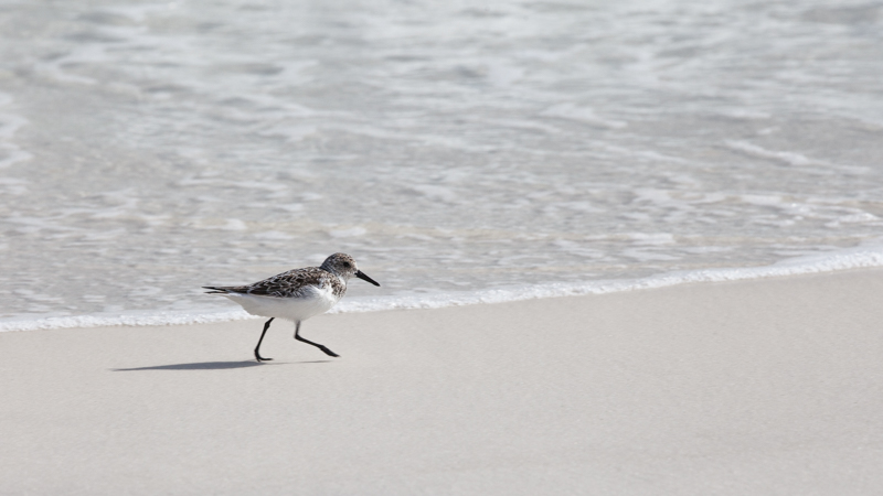 Destin West RV Resort