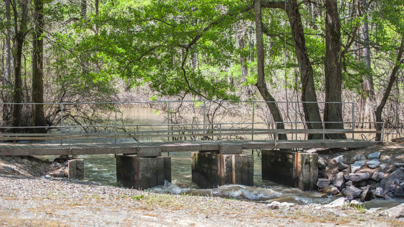 Dagmar State Wildlife Management Area Camping