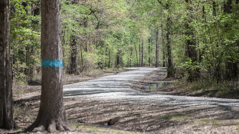 Dagmar State Wildlife Management Area Camping