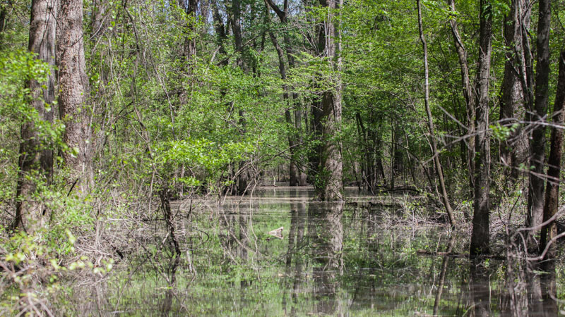 Dagmar State Wildlife Management Area Camping