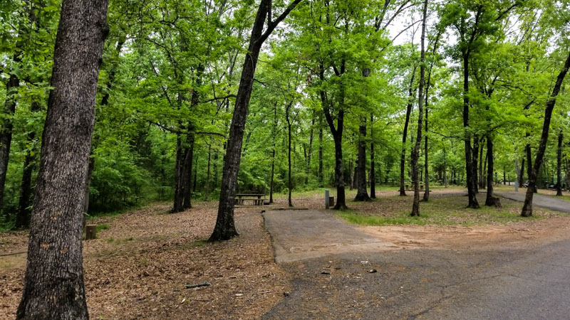 The fenced-in dog park at Cal Expo RV Park