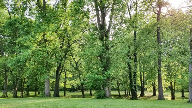 Yogi Bear Campground Nashville TN