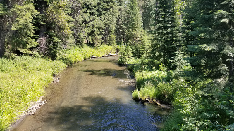 Annie Creek in Oregon